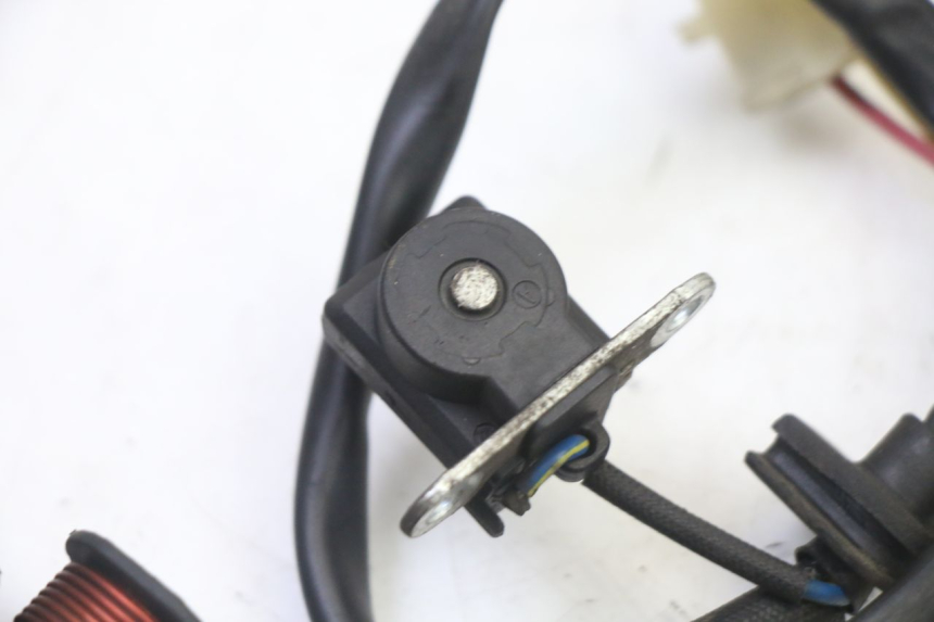 photo de STATORE ORCAL CAVARO 4T 50 (2019 - 2023)