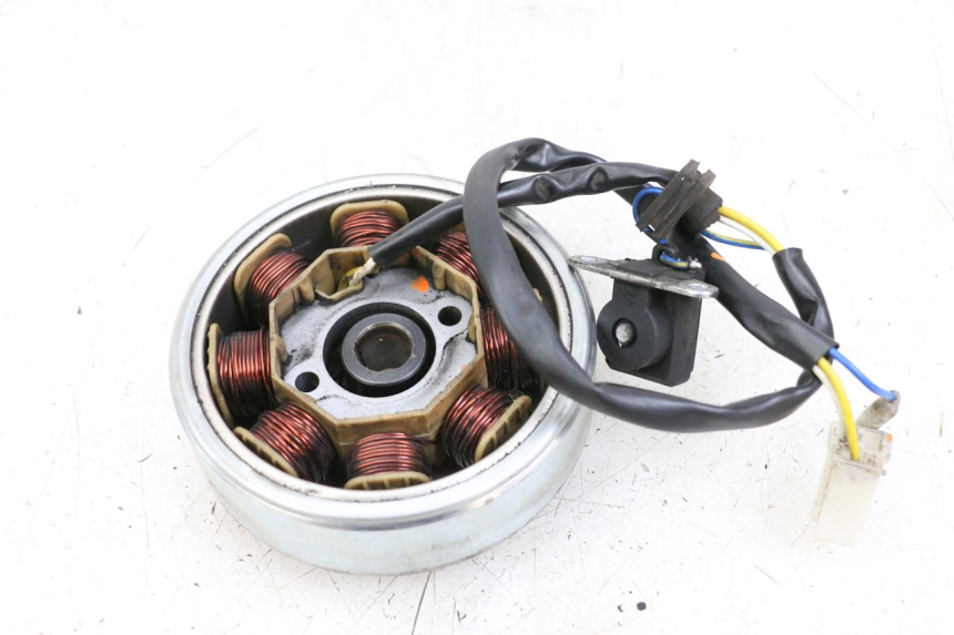 photo de STATORE LONGJIA DIGITA 4T 50 (2019 - 2022)