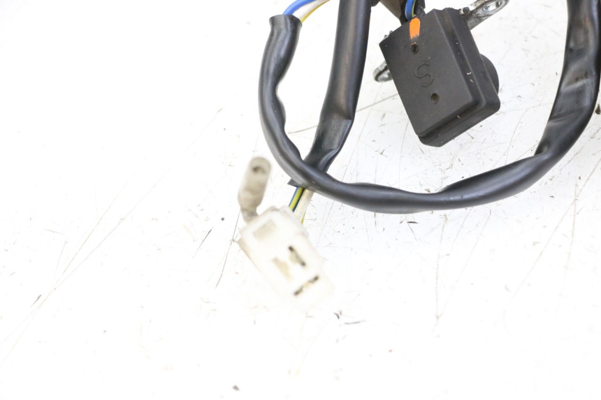 photo de STATORE LONGJIA DIGITA 4T 50 (2019 - 2022)