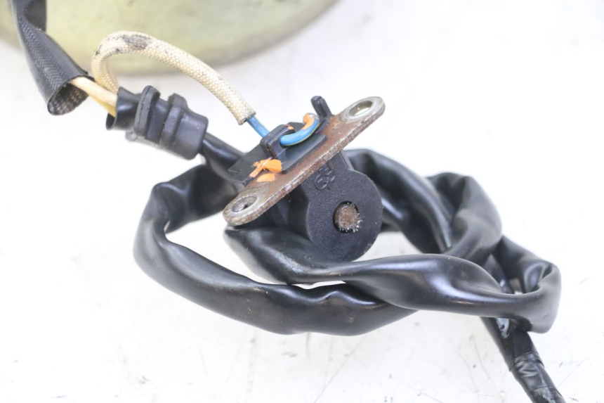 photo de STATORE GOES WIKI 125 (2010 - 2015) - Dettaglio del componente