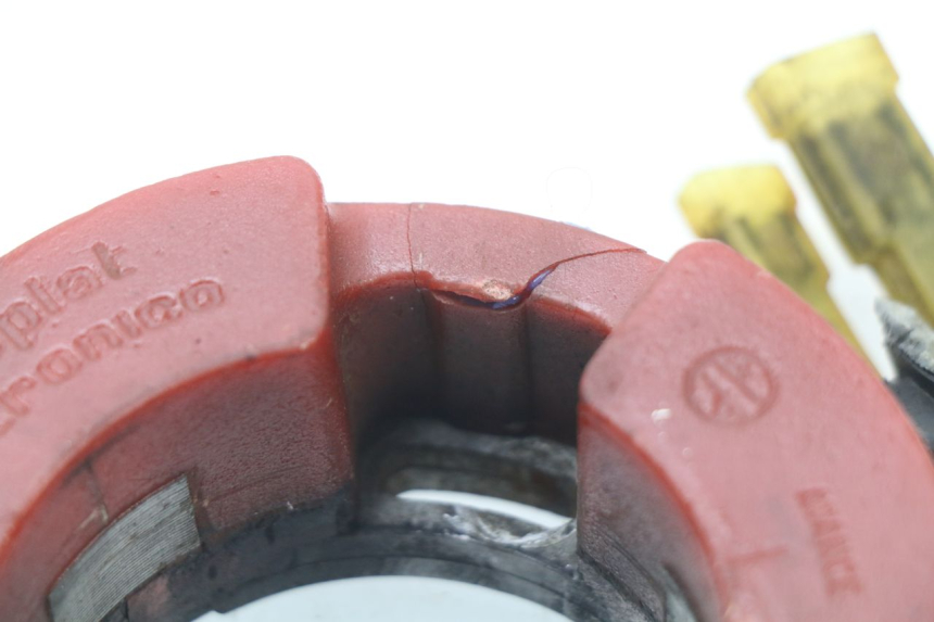 photo de ROTOR STATORE MAICO MX 320 (1993 - 1994)