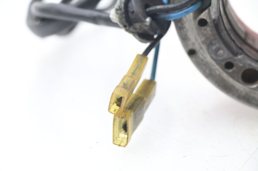 photo de ROTOR STATORE MAICO MX 320 (1993 - 1994)