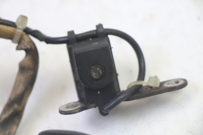 photo de STATORE PIAGGIO NEW TYPHOON 50 (2010 - 2017)