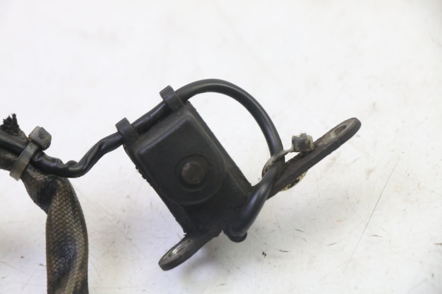 photo de STATORE PIAGGIO NEW TYPHOON 50 (2010 - 2017)