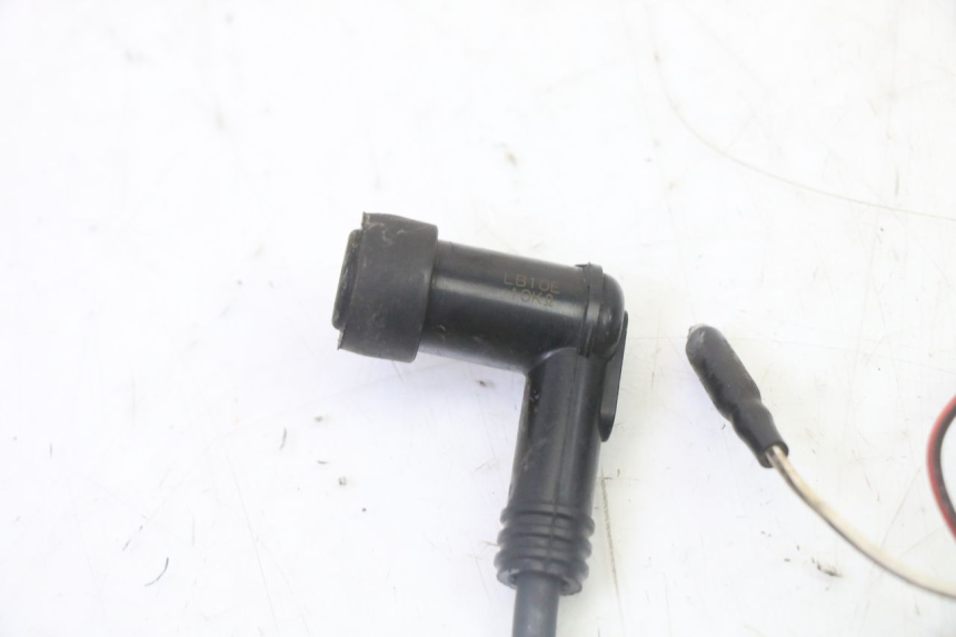 photo de STATORE DERBI SENDA SM DRD 50 (2008 - 2013)
