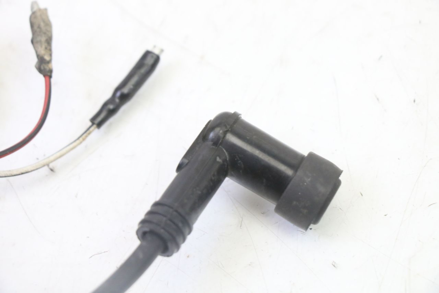 photo de STATORE DERBI SENDA SM DRD 50 (2008 - 2013)