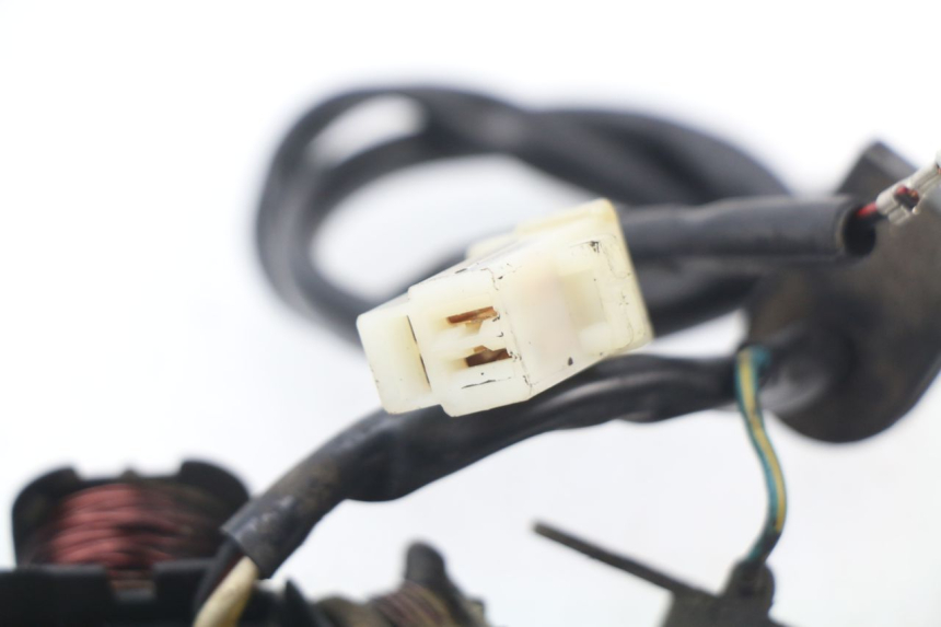 photo de STATORE PEUGEOT SPEEDFIGHT 3 AIR 50 (2009 - 2015)