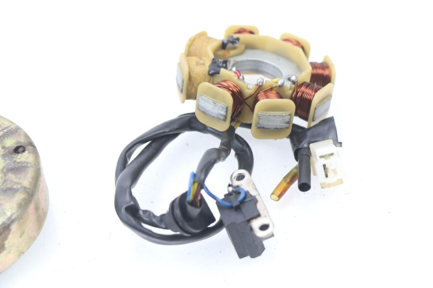 photo de ROTOR STATOR JM MOTORS SUNNY 50 (2017 - 2020)