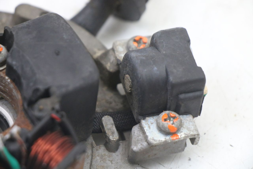 photo de STATORE TNT MOTOR ROMA 10' 2T 50 (2011 - 2018)
