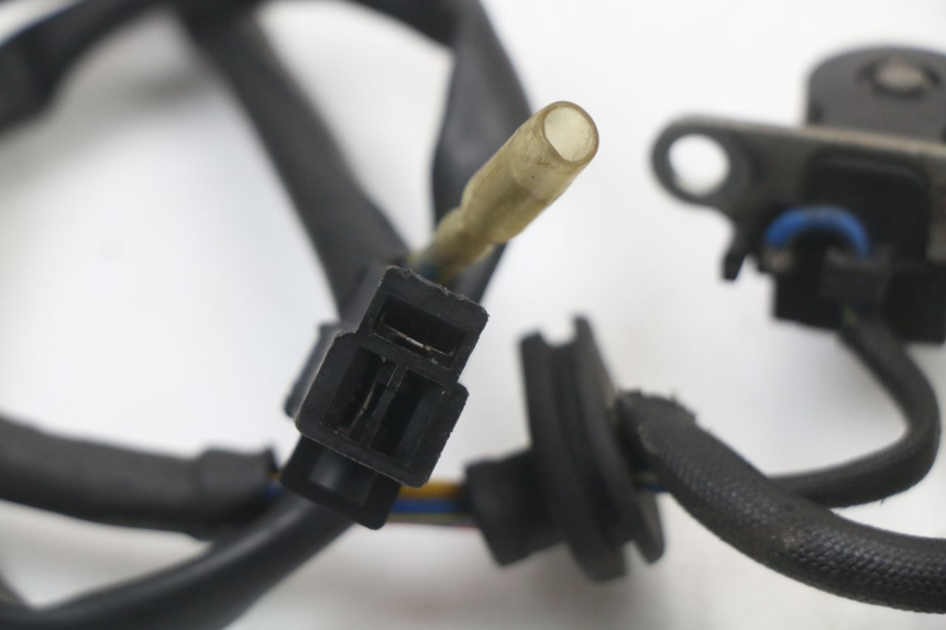 photo de ROTOR STATORE BEELINE VELOCE 4T 50 (2011 - 2020)