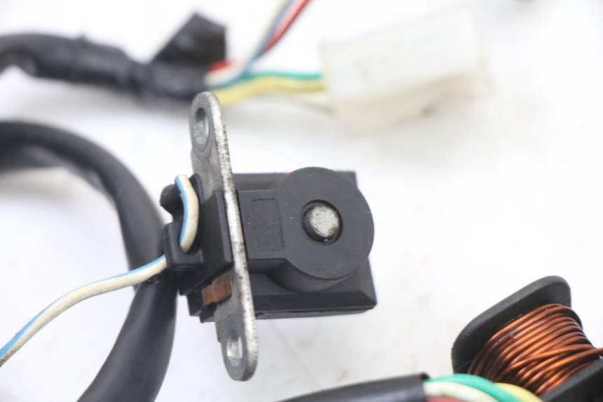 photo de STATORE UNIVERSAL BIKE ZN50QT-11B 50 (2018 - 2021)