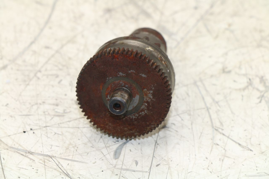 photo de RUOTA LIBERA AVVIATORE PEUGEOT KISBEE 4T 50 (2010 - 2017)