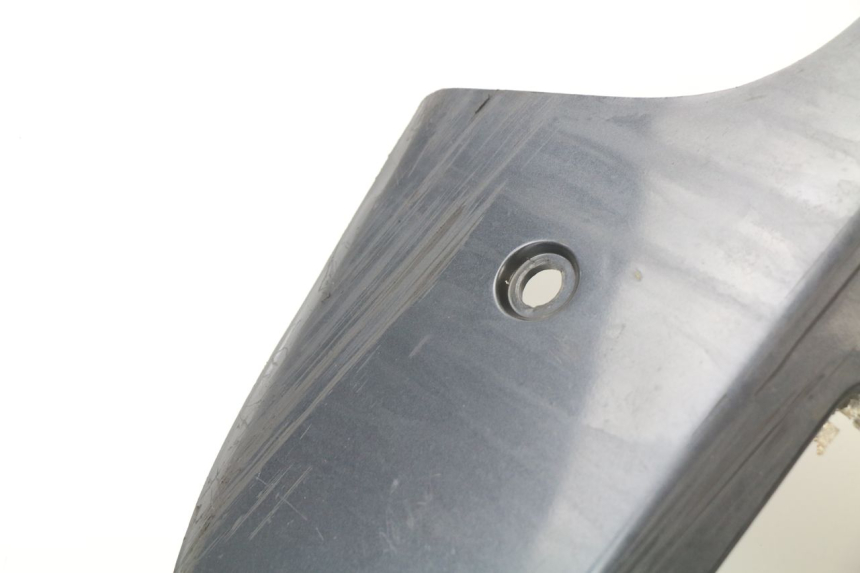 photo de Protezione motore KAWASAKI GTR 1000 (1994 - 2004)