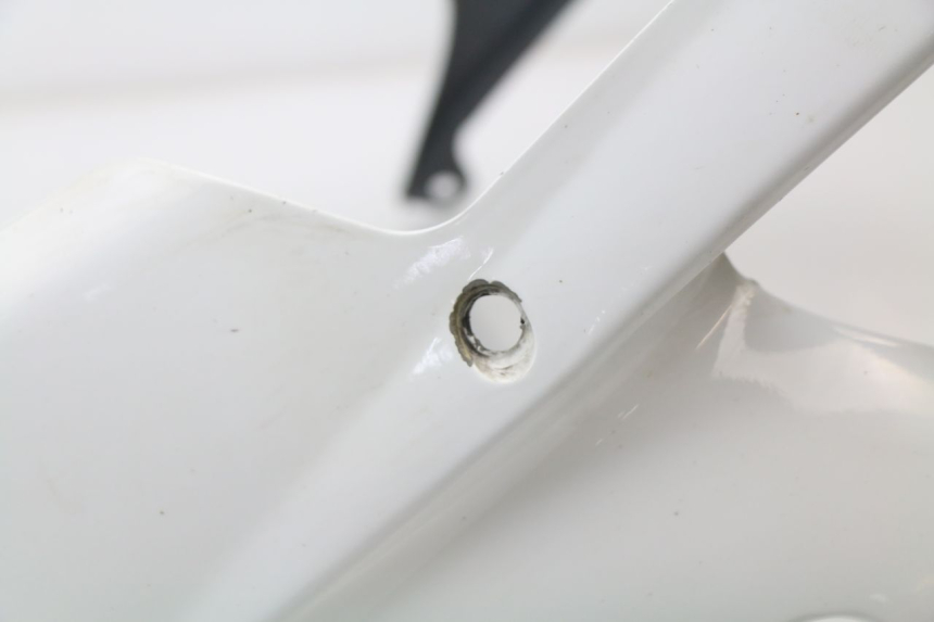 photo de Protezione motore HONDA CBR 929 RR FIREBLADE 900 (2000 - 2001)