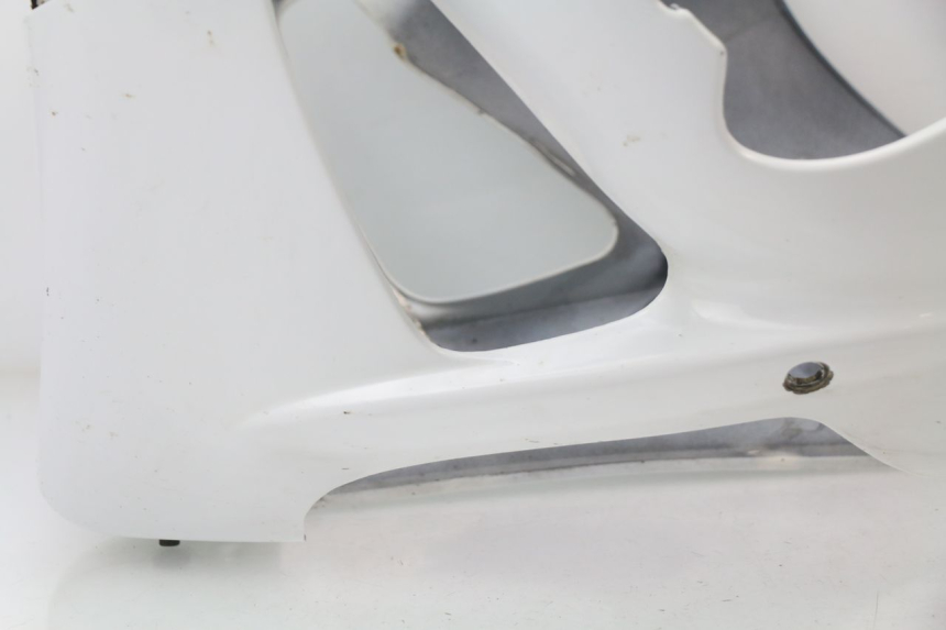 photo de Protezione motore HONDA CBR 929 RR FIREBLADE 900 (2000 - 2001)