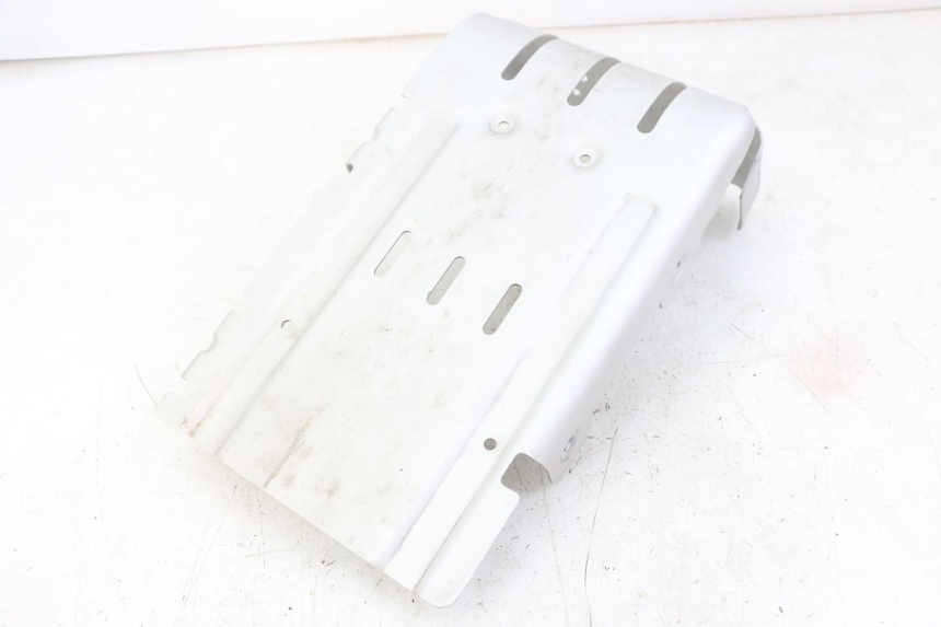 photo de PUNTALE ROYAL ENFIELD HYMALAYAN 410 (2016 - 2023)