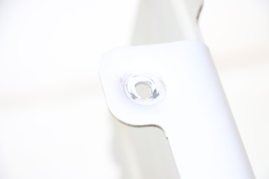 photo de PUNTALE ROYAL ENFIELD HYMALAYAN 410 (2016 - 2023)