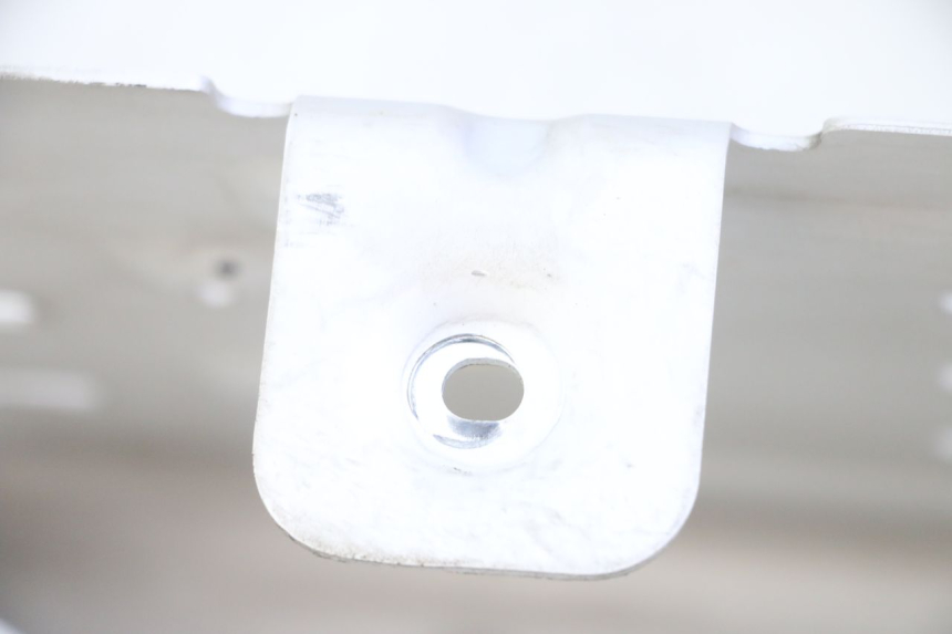 photo de PUNTALE ROYAL ENFIELD HYMALAYAN 410 (2016 - 2023)