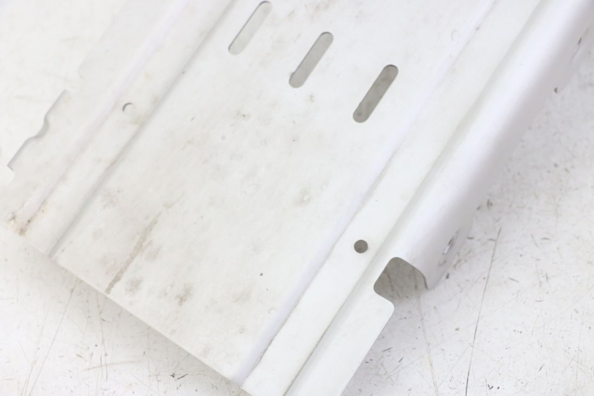 photo de PUNTALE ROYAL ENFIELD HYMALAYAN 410 (2016 - 2023)