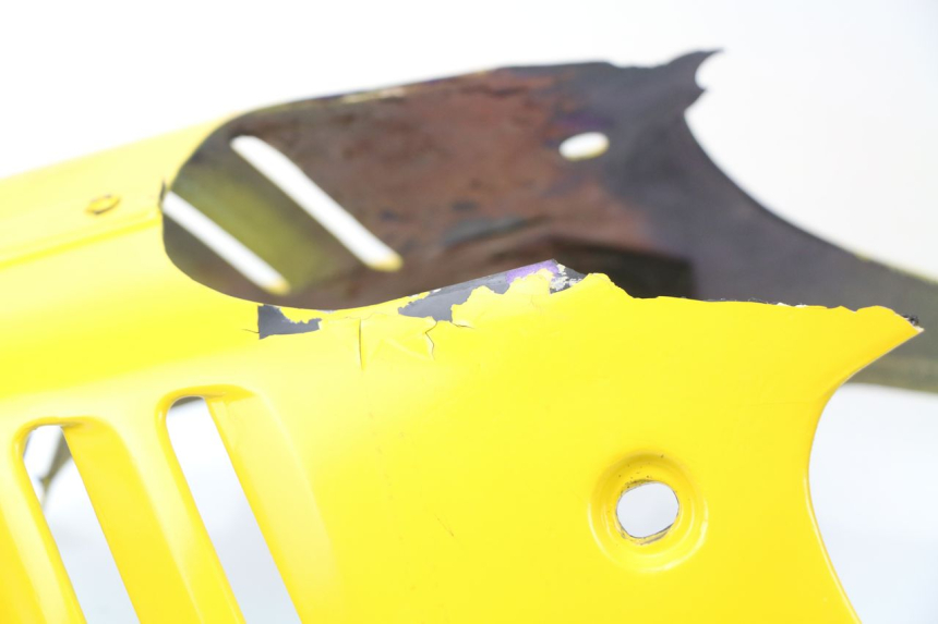 photo de Protezione motore SUZUKI GSXF GSX F 600 (1988 - 1997)