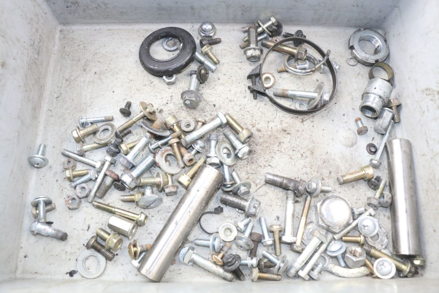 photo de SACCHETTO VITI VITE HYOSUNG AQUILA GV 125 (2009 - 2016)