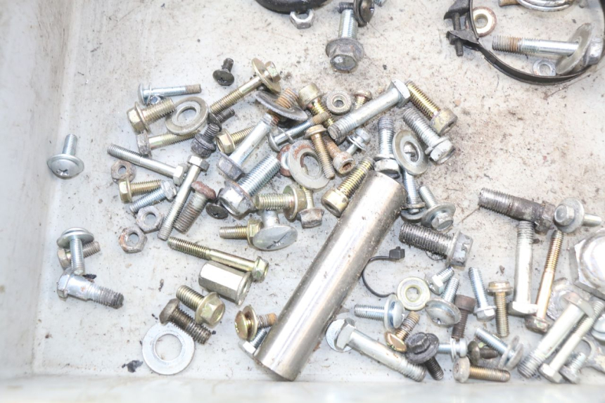 photo de SACCHETTO VITI VITE HYOSUNG AQUILA GV 125 (2009 - 2016)