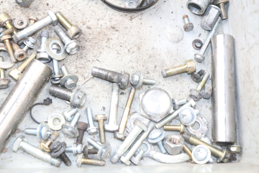 photo de SACCHETTO VITI VITE HYOSUNG AQUILA GV 125 (2009 - 2016)