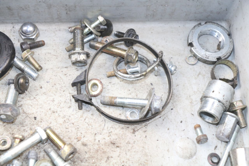 photo de SACCHETTO VITI VITE HYOSUNG AQUILA GV 125 (2009 - 2016)