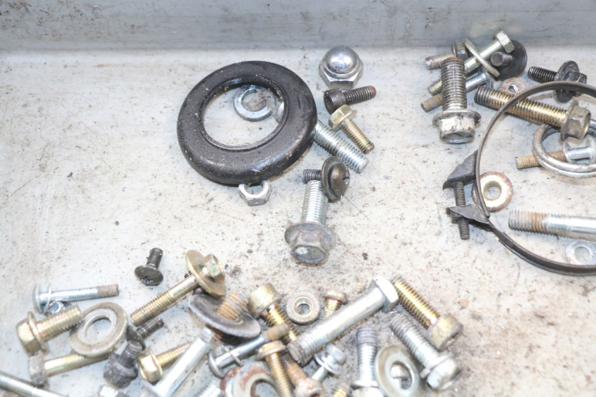 photo de SACCHETTO VITI VITE HYOSUNG AQUILA GV 125 (2009 - 2016)