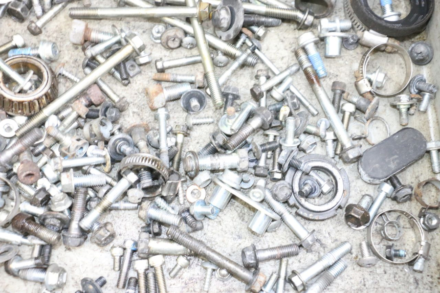 photo de VITI SUZUKI BURGMAN 650 (2013 - 2020)