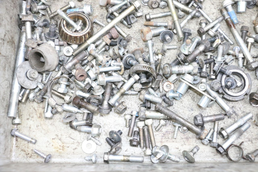 photo de VITI SUZUKI BURGMAN 650 (2013 - 2020)