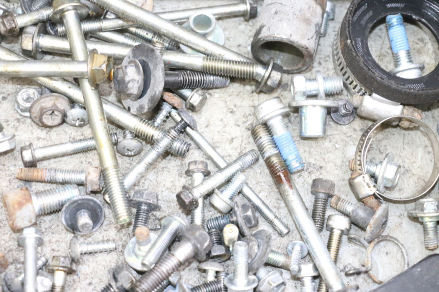 photo de VITI SUZUKI BURGMAN 650 (2013 - 2020)