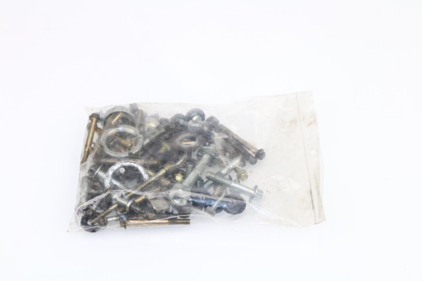 photo de SACCHETTO VITI VITE PIAGGIO FLY 4T 50 (2004 - 2010)