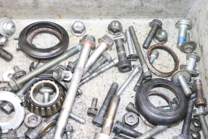 photo de VITI SUZUKI GSF N BANDIT 600 (1996 - 1999) - Vista d'insieme del prodotto