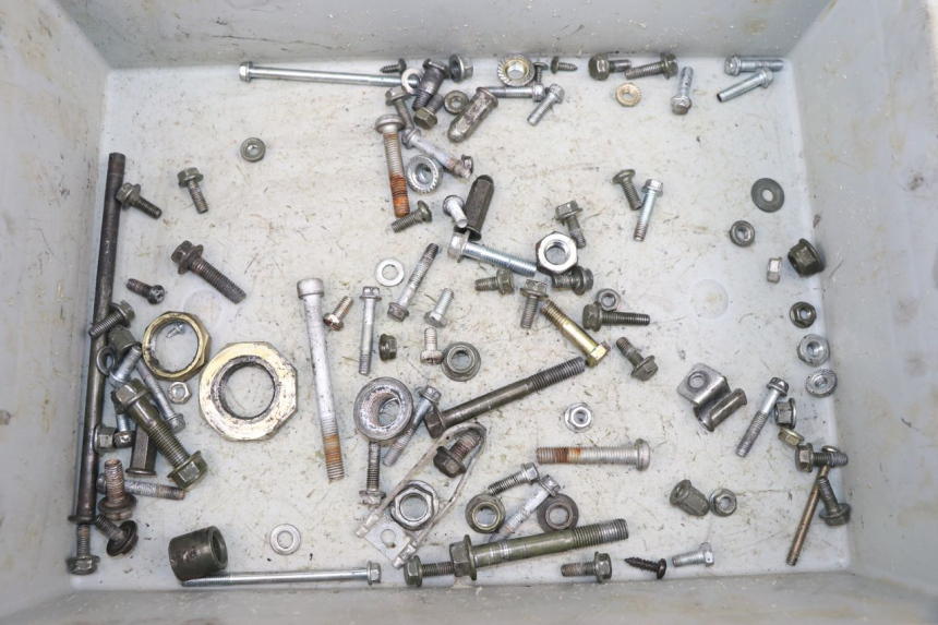 photo de SACCHETTO VITI VITE JM MOTORS SUNNY 50 (2017 - 2020)