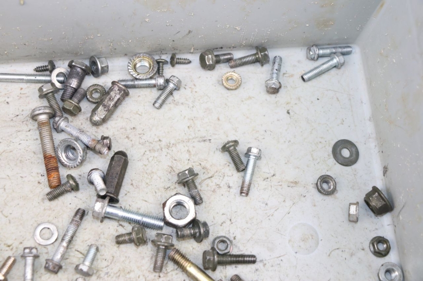 photo de SACCHETTO VITI VITE JM MOTORS SUNNY 50 (2017 - 2020)