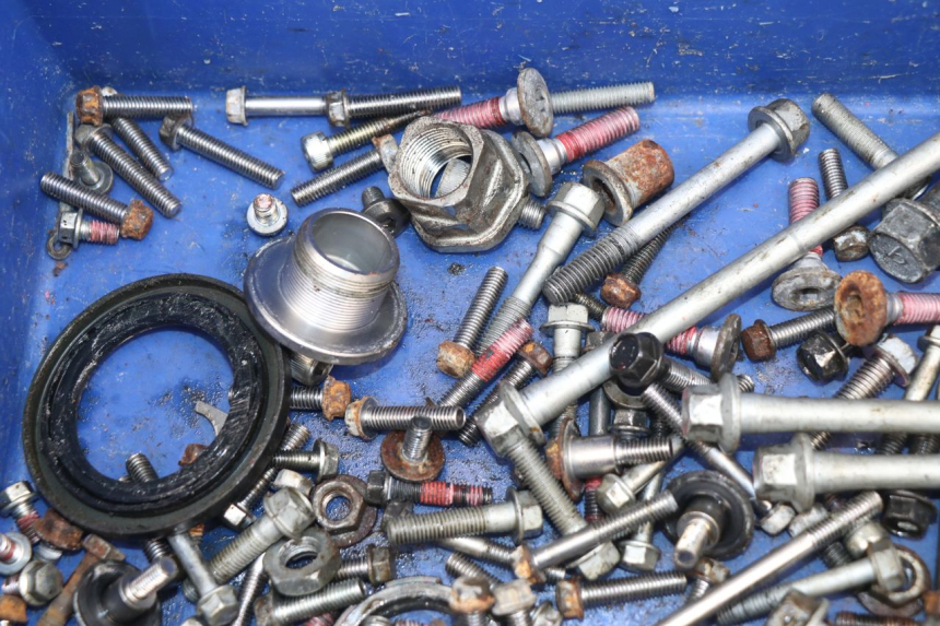 photo de SACCHETTO VITI VITE KAWASAKI ER-6 ER6 F 650 (2006 - 2009)