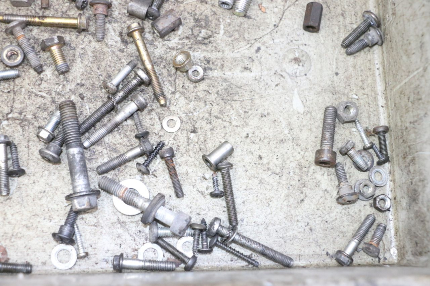 photo de VITI PIAGGIO LIBERTY 125 (1998 - 2008)