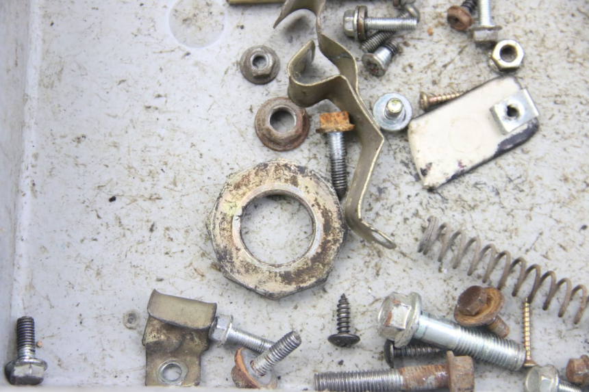 photo de SACCHETTO VITI VITE VENESI LOWIGI RETRO JJ50QT-3 50 (2020 - 2022) - Dettaglio del componente