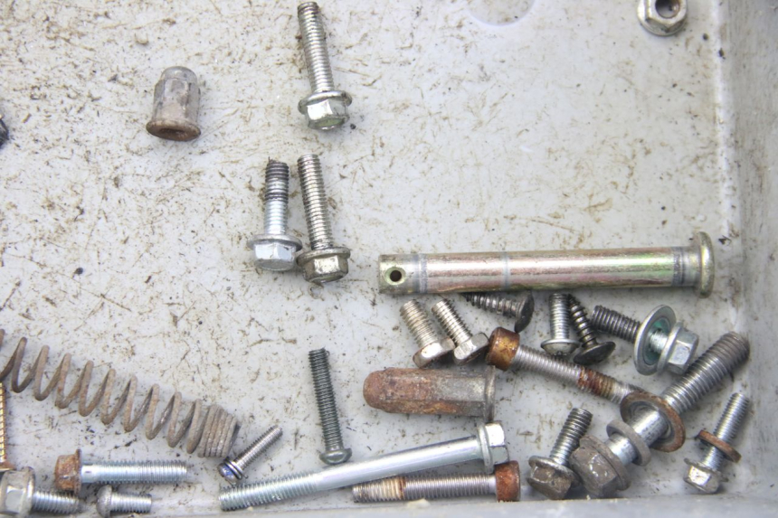 photo de SACCHETTO VITI VITE VENESI LOWIGI RETRO JJ50QT-3 50 (2020 - 2022) - Zoom sullo stato d'uso