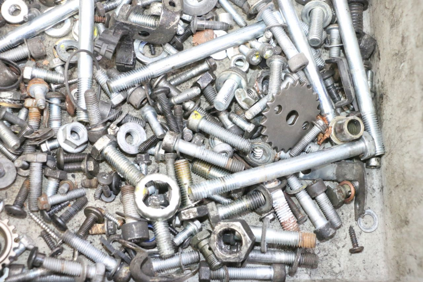 photo de SAC VITI BULLONI PIAGGIO MP3 RL 250 (2007 - 2010)