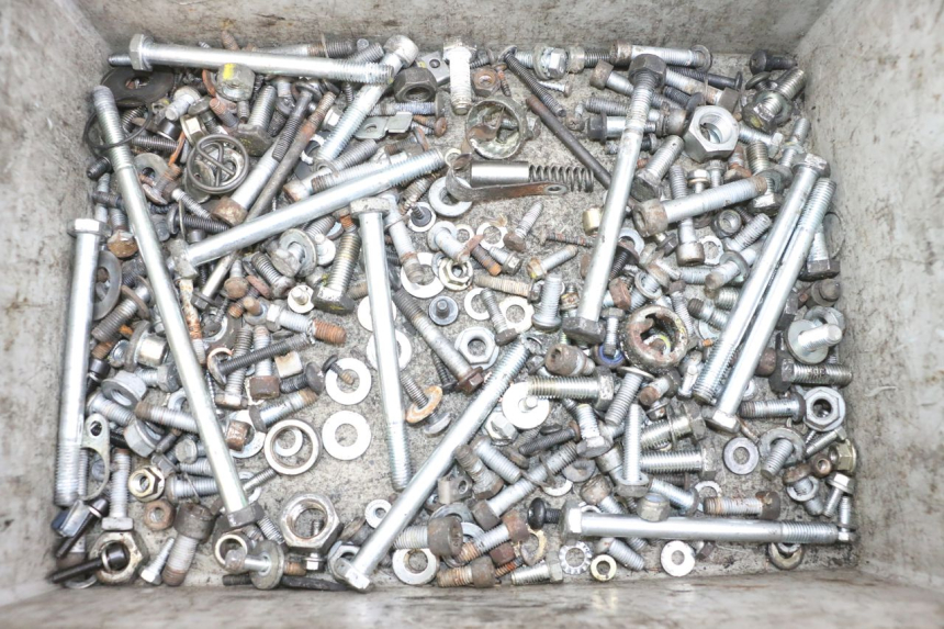 photo de SAC VITI BULLONI PIAGGIO MP3 RL 250 (2007 - 2010) - Vista principale