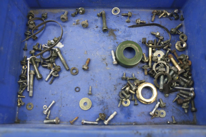 photo de SACCHETTO VITI VITE RIDE RACE 2T 50 (2012 - 2015)