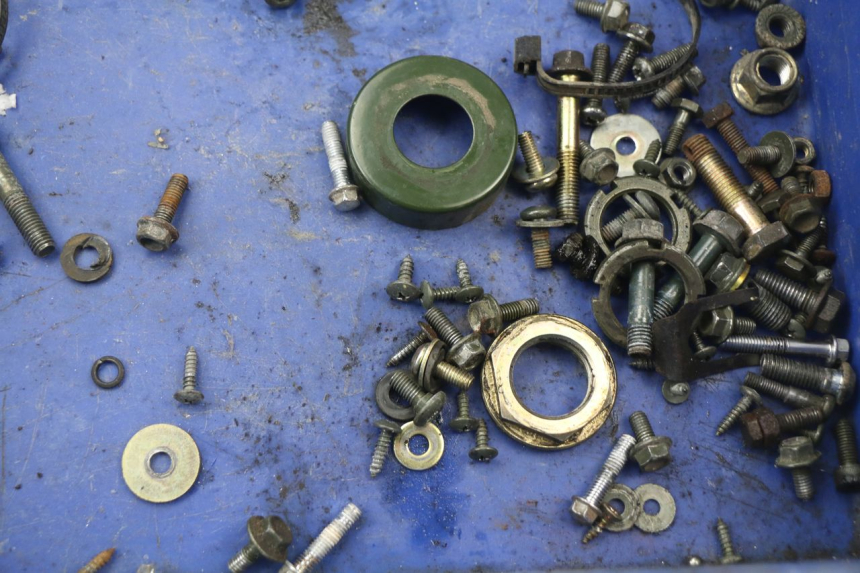 photo de SACCHETTO VITI VITE RIDE RACE 2T 50 (2012 - 2015)