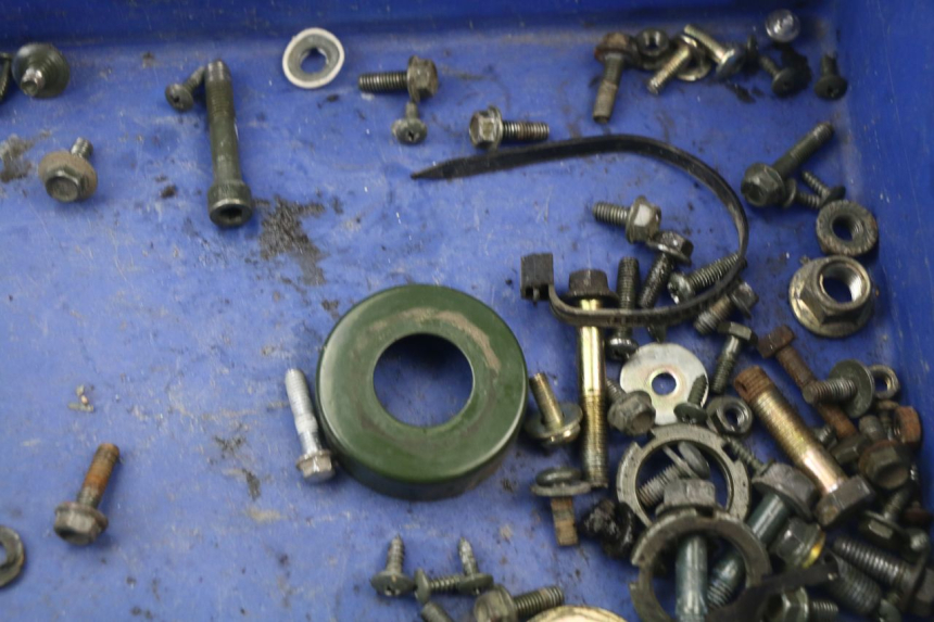 photo de SACCHETTO VITI VITE RIDE RACE 2T 50 (2012 - 2015)