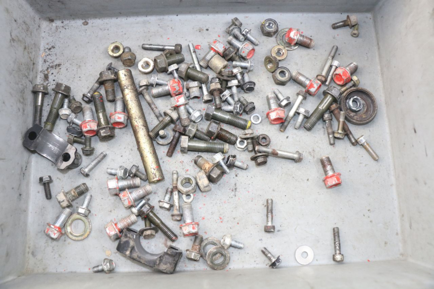 photo de SACCHETTO VITI VITE ADLY RS SUPERSONIC 50 (2005 - 2010)