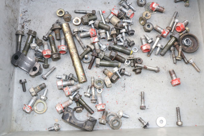 photo de SACCHETTO VITI VITE ADLY RS SUPERSONIC 50 (2005 - 2010)