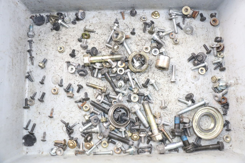 photo de SAC VITI BULLONI DAELIM S3 125 (2010 - 2017)