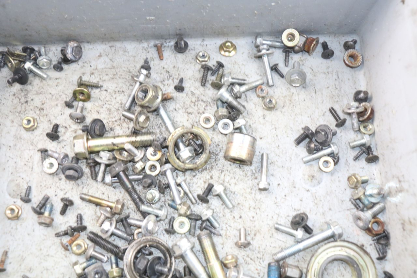 photo de SAC VITI BULLONI DAELIM S3 125 (2010 - 2017)