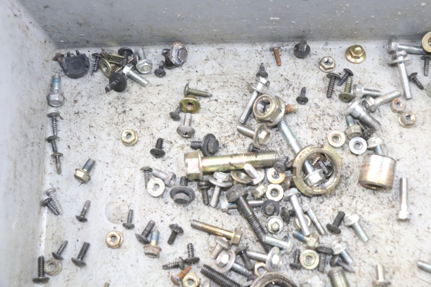 photo de SAC VITI BULLONI DAELIM S3 125 (2010 - 2017)